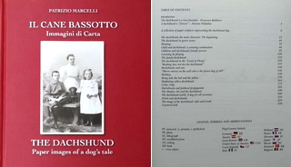 bassotto